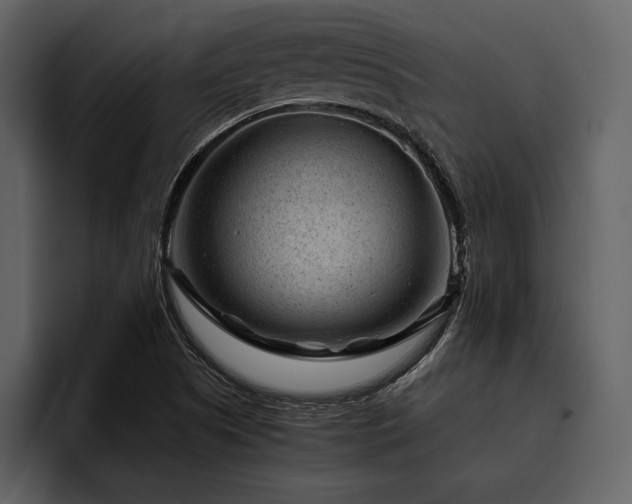 X0000095941505200801111319