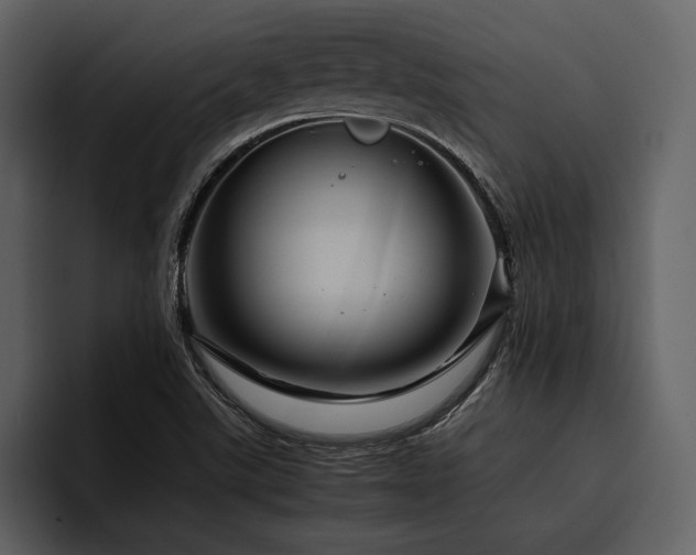X0000095941507200801111319