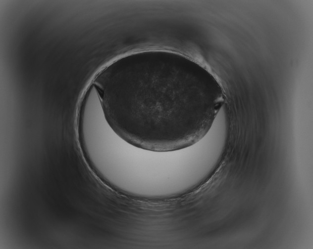 X0000095941508200801111319