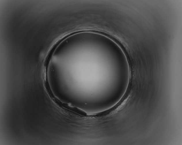 X0000095941509200801111319