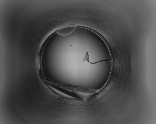 X0000095941510200801111319