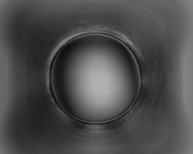 X0000095941512200801111319