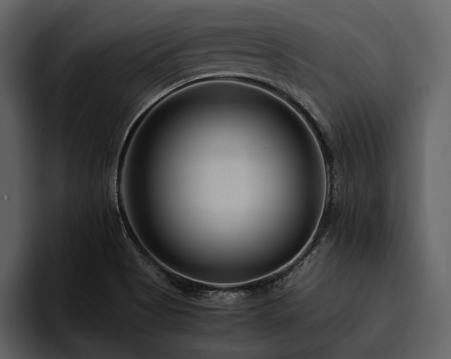 X0000095941513200801111319