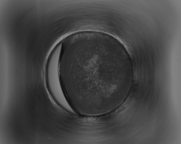 X0000095941515200801111319