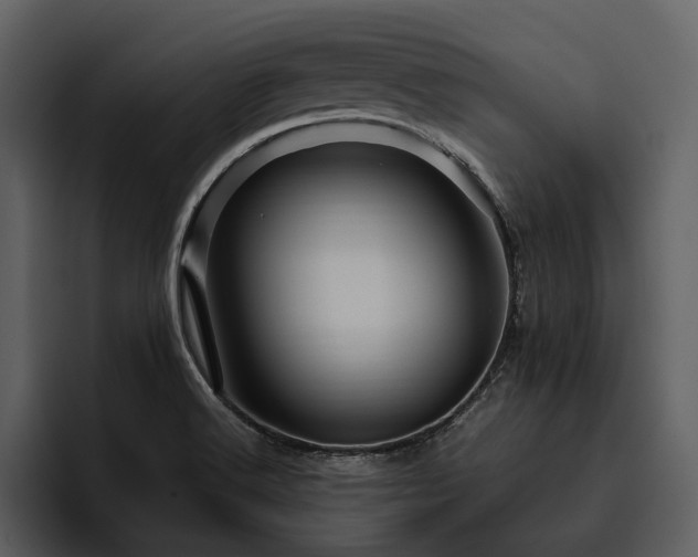 X0000095941516200801111319