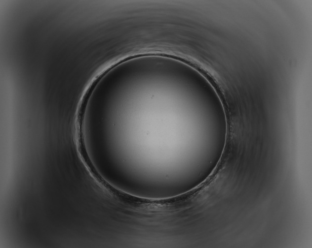 X0000095941517200801111319