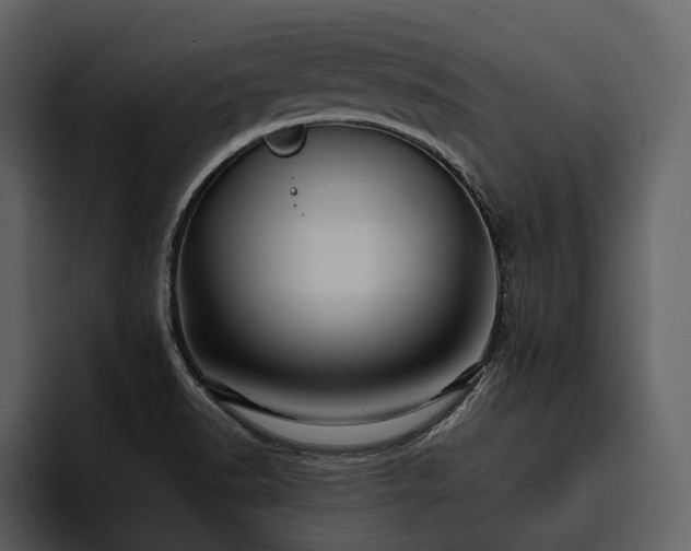 X0000095941518200801111319
