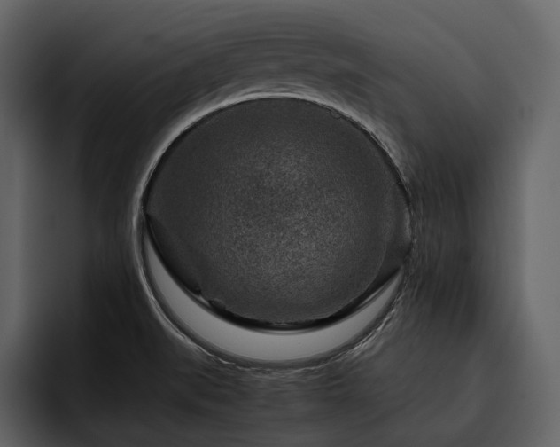 X0000095941519200801111319