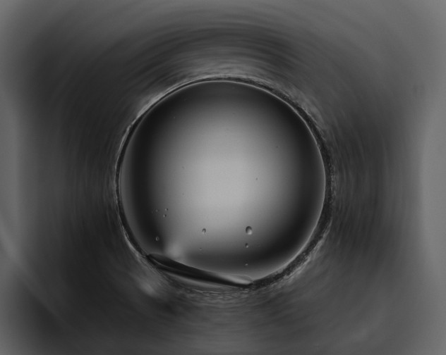 X0000095941521200801111319