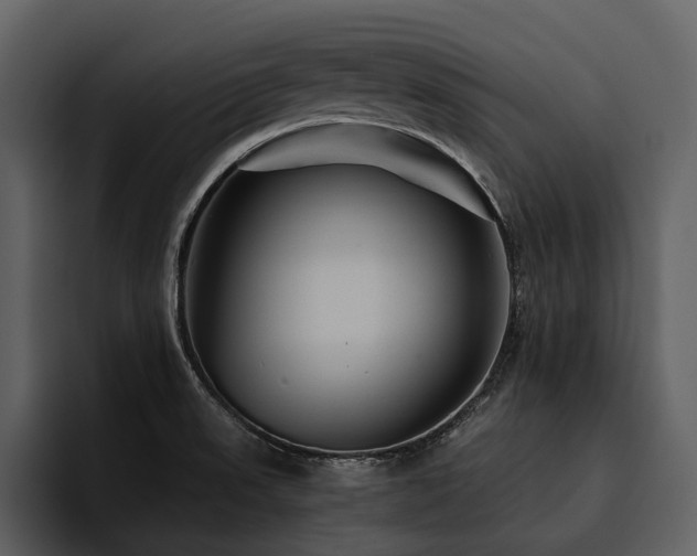 X0000095941523200801111319