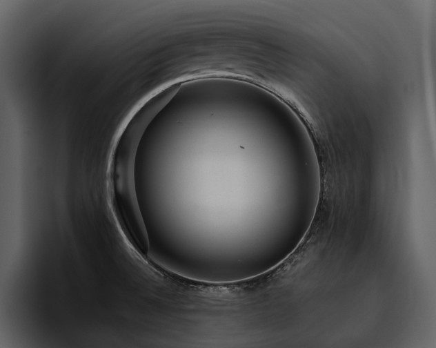 X0000095941524200801111319