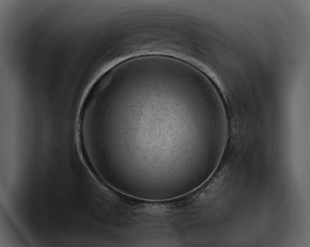 X0000095941525200801111319