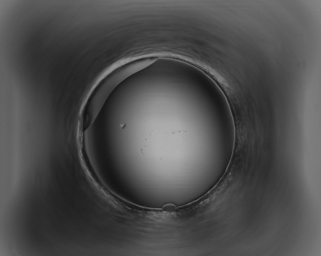 X0000095941526200801111319