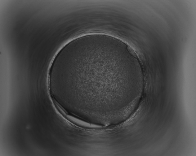 X0000095941527200801111319