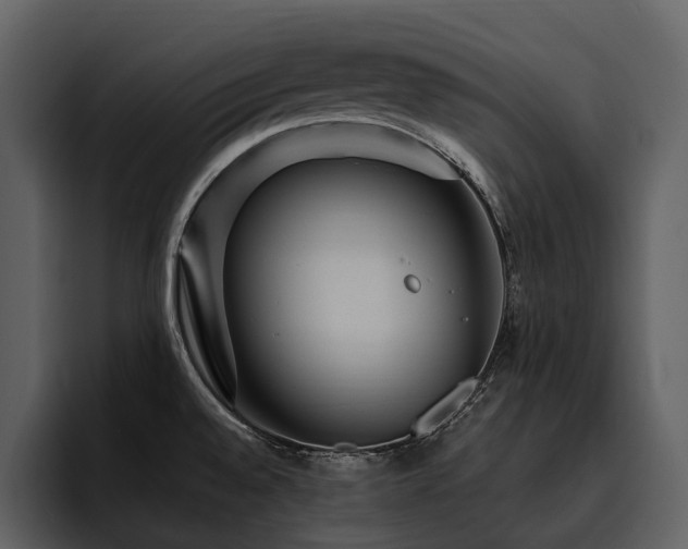X0000095941528200801111319