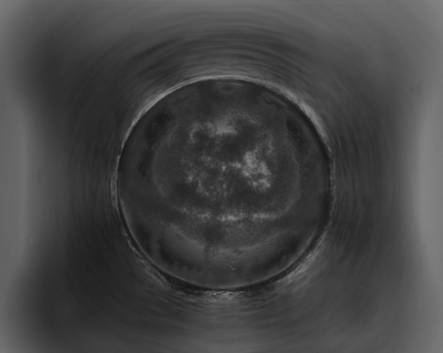 X0000095941529200801111319