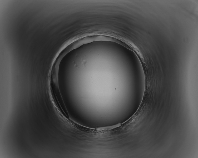X0000095941530200801111319