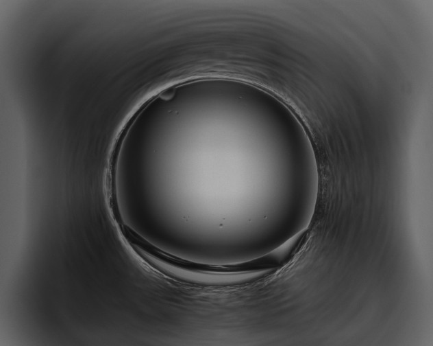 X0000095941531200801111319