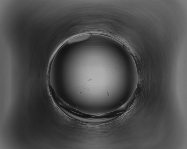 X0000095941532200801111319