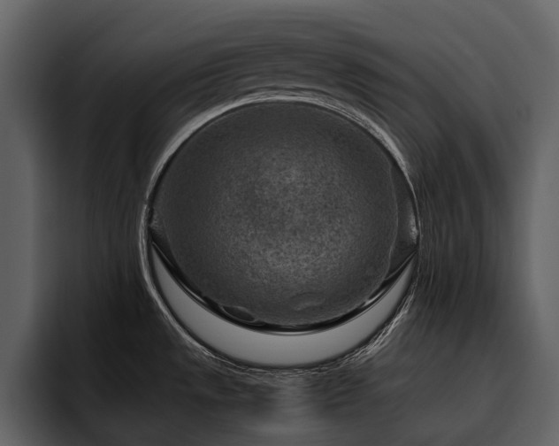 X0000095941533200801111319
