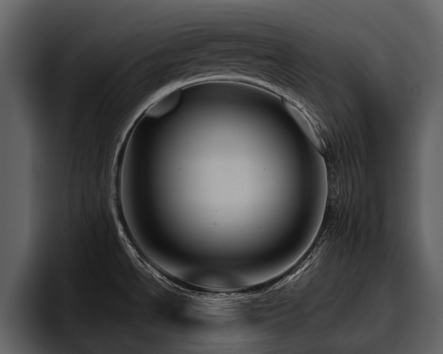 X0000095941534200801111319