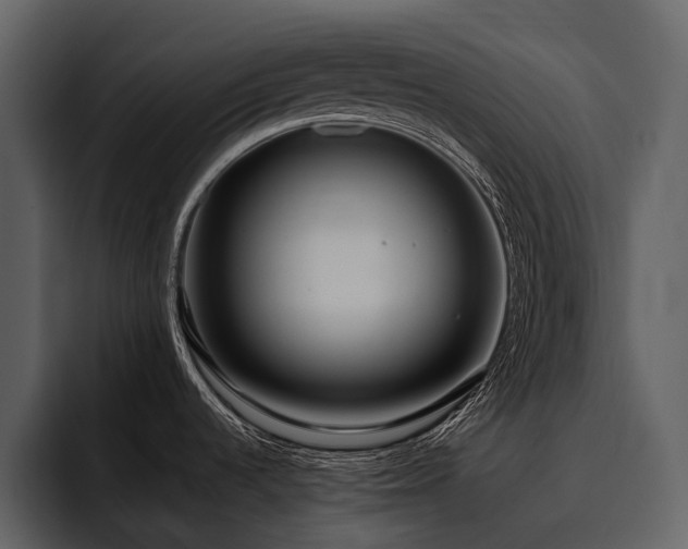 X0000095941536200801111320