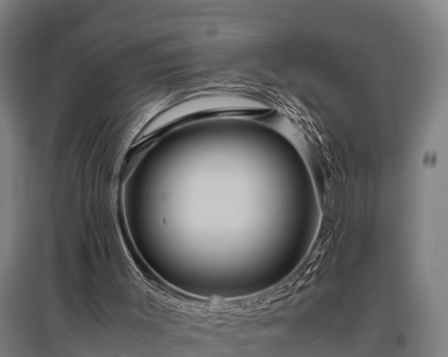 X0000095940003200801181411