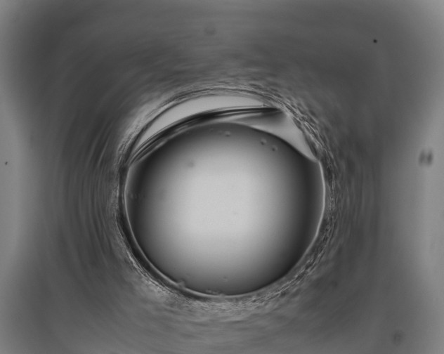 X0000095940005200801181411