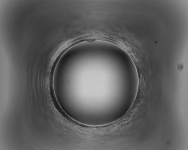 X0000095940007200801181411
