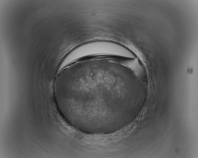 X0000095940009200801181411