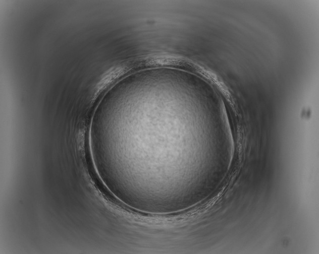 X0000095940010200801181411