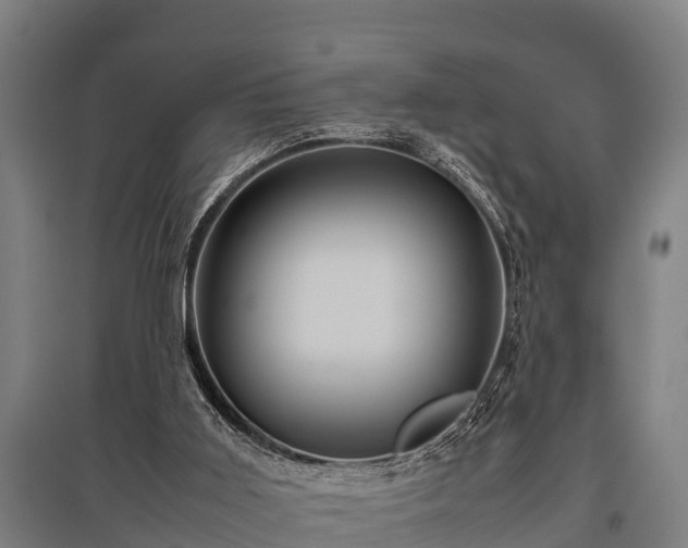 X0000095940011200801181411