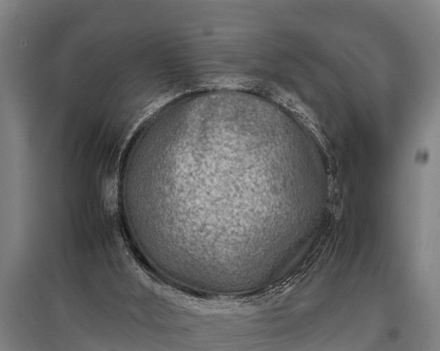 X0000095940012200801181411