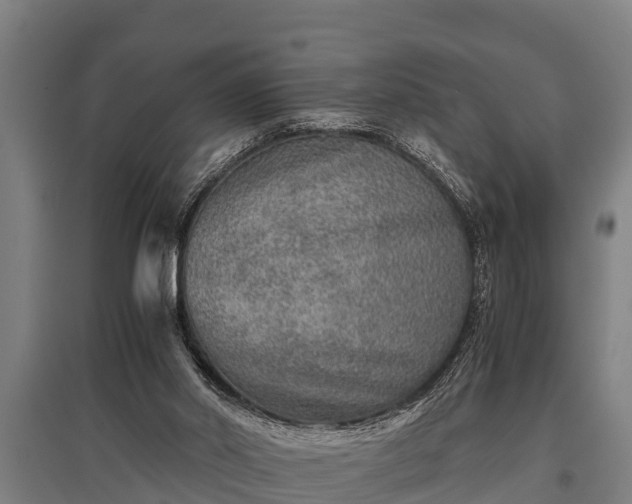 X0000095940014200801181411