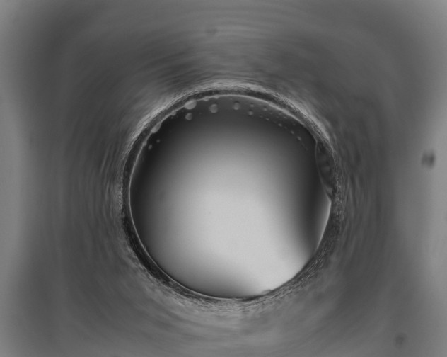 X0000095940015200801181411
