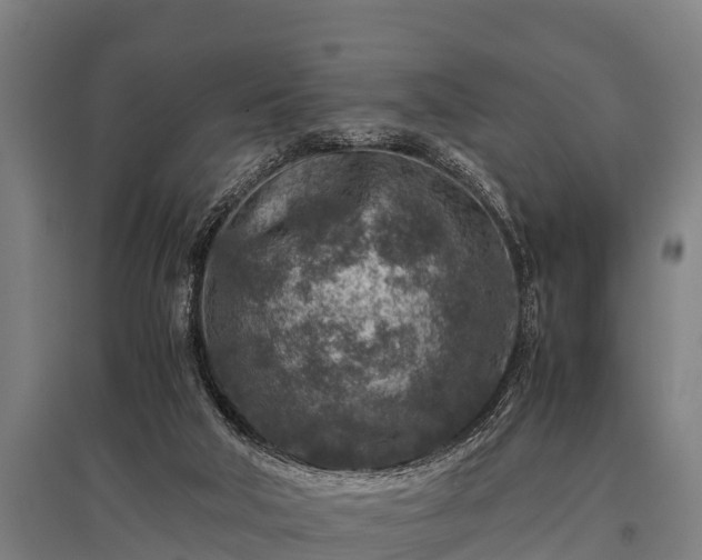 X0000095940018200801181411