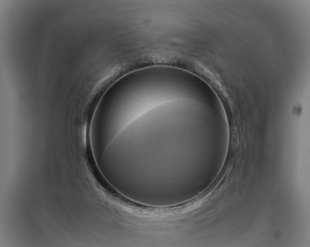X0000095940019200801181411