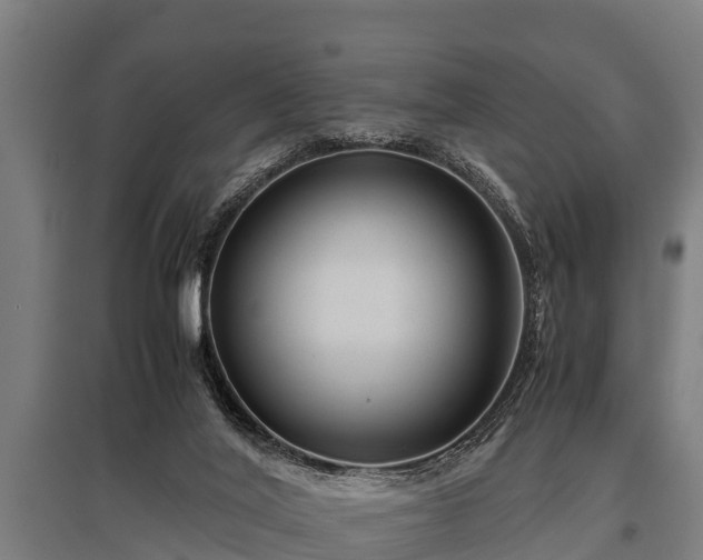 X0000095940020200801181411