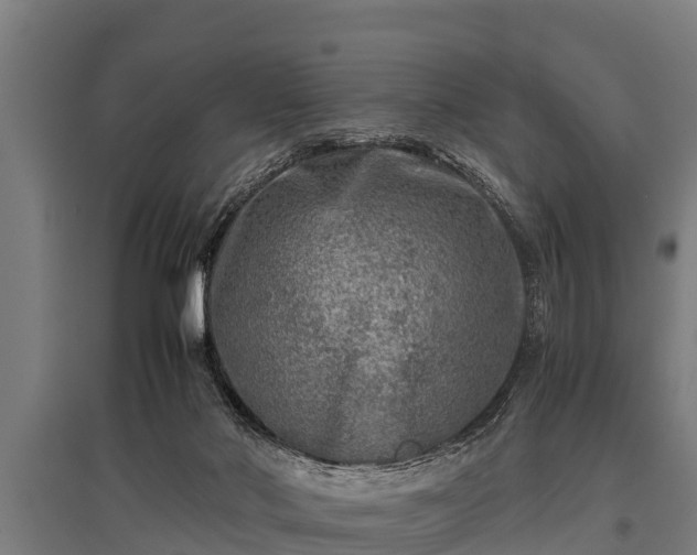 X0000095940022200801181410
