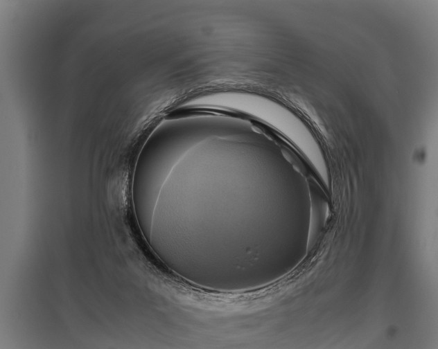 X0000095940023200801181410