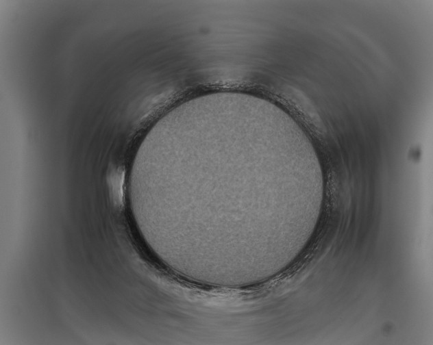 X0000095940024200801181410