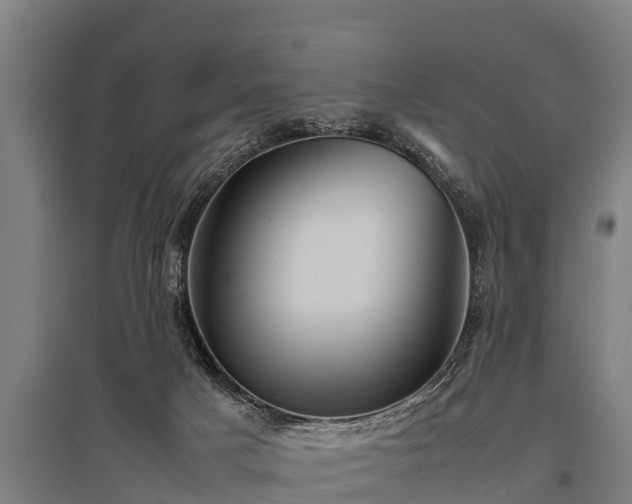 X0000095940025200801181410