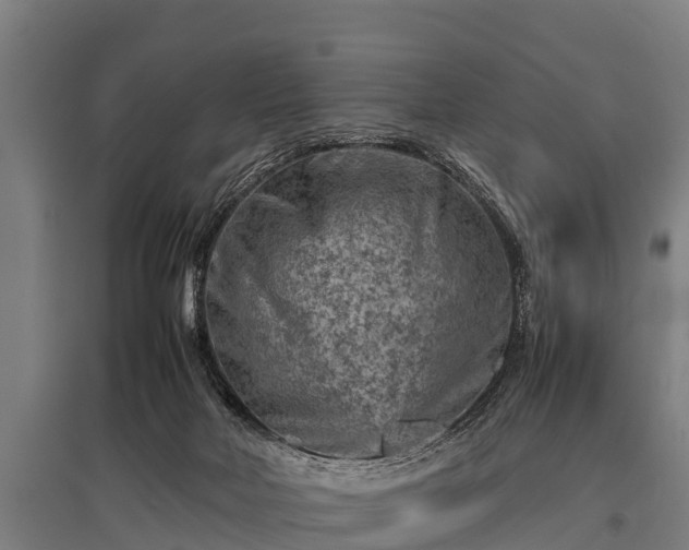 X0000095940026200801181410