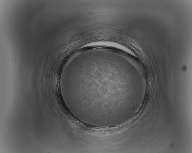 X0000095940029200801181410