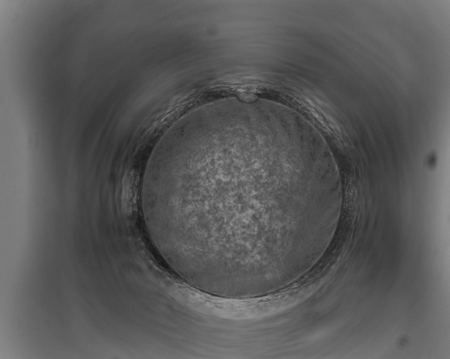 X0000095940030200801181410