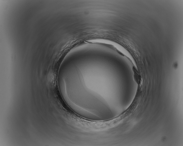 X0000095940031200801181410