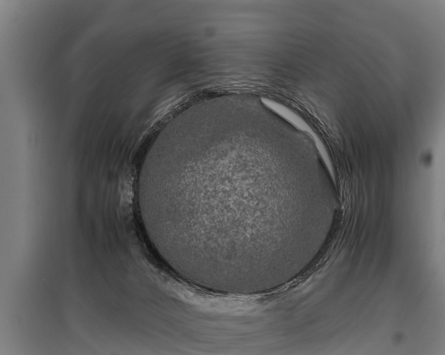 X0000095940032200801181410