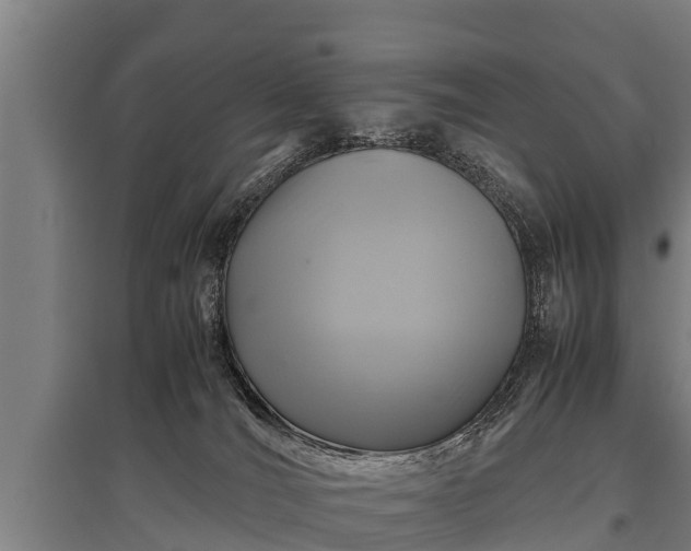 X0000095940036200801181410