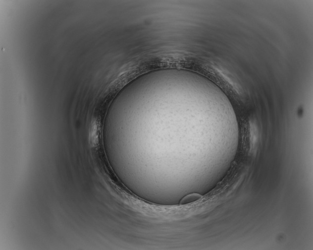 X0000095940038200801181410