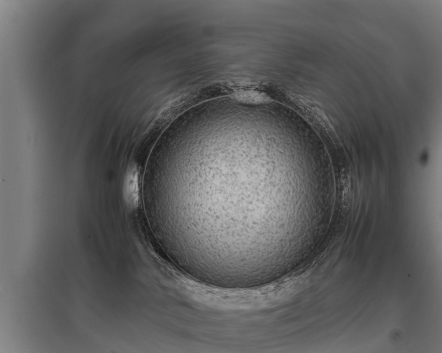 X0000095940042200801181410